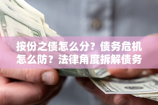 武汉按份之债怎么分？债务危机怎么防？法律角度拆解债务分配与风险自保指南