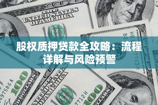 武汉股权质押贷款全攻略：流程详解与风险预警
