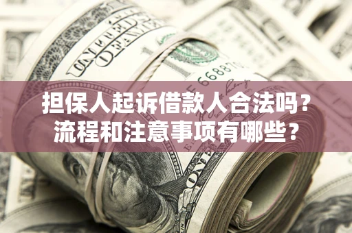 武汉担保人起诉借款人合法吗？流程和注意事项有哪些？
