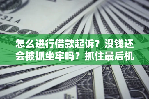 武汉怎么进行借款起诉？没钱还会被抓坐牢吗？抓住最后机会！