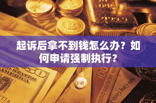 武汉起诉后拿不到钱怎么办？如何申请强制执行？