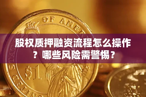 武汉股权质押融资流程怎么操作？哪些风险需警惕？