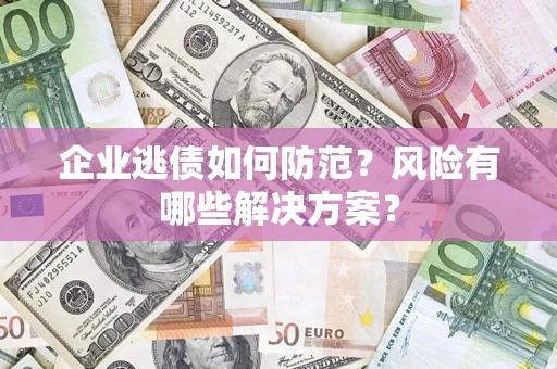 武汉企业逃债如何防范？风险有哪些解决方案？