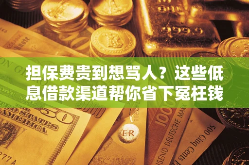 武汉担保费贵到想骂人？这些低息借款渠道帮你省下冤枉钱