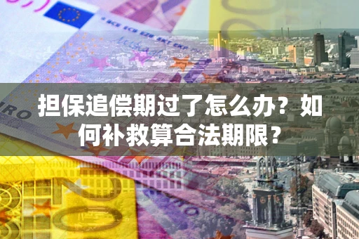 武汉担保追偿期过了怎么办？如何补救算合法期限？