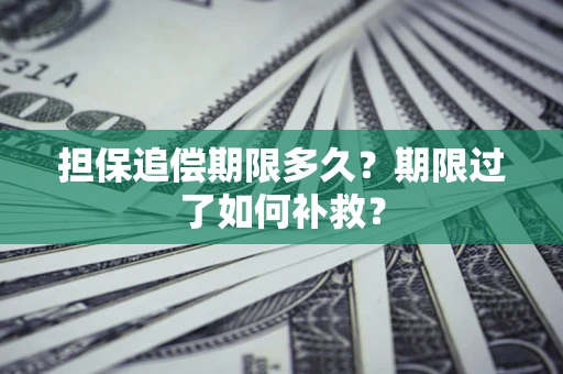 武汉担保追偿期限多久？期限过了如何补救？