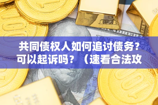 武汉共同债权人如何追讨债务？可以起诉吗？（速看合法攻略）