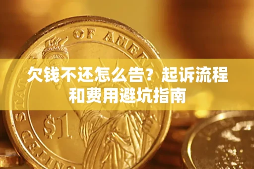 武汉欠钱不还怎么告？起诉流程和费用避坑指南