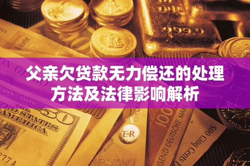 武汉父亲欠贷款无力偿还的处理方法及法律影响解析
