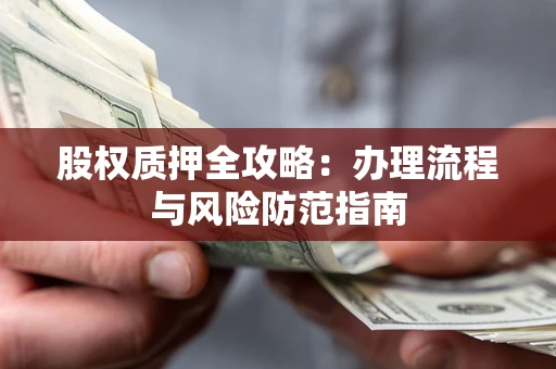 武汉股权质押全攻略：办理流程与风险防范指南