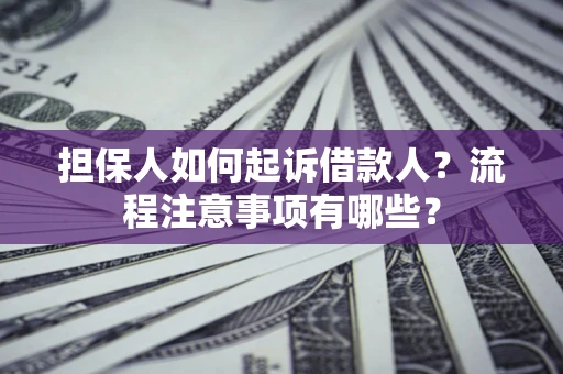武汉担保人如何起诉借款人？流程注意事项有哪些？